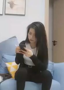 ˫