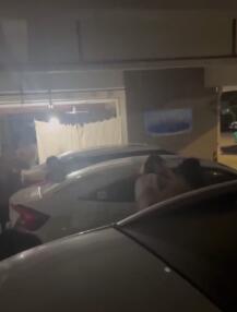 抓奸狗男女