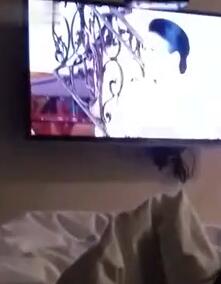 可爱小姐姐张芸芸和男友出去旅游开房