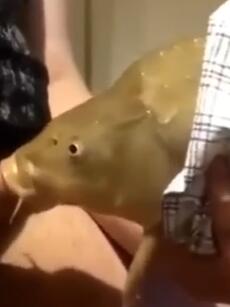 㶼º
